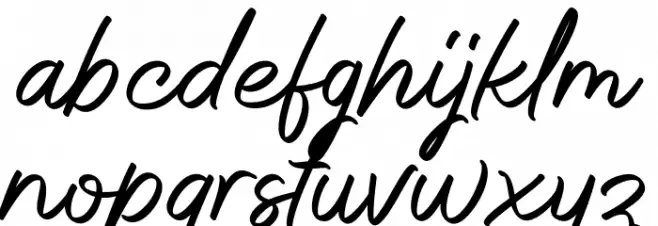 Whitelist-Demo 字体 小写