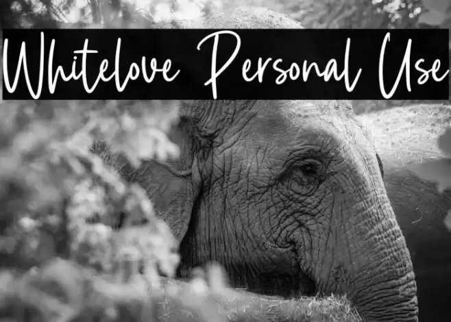 Whitelove Personal Use Font examples