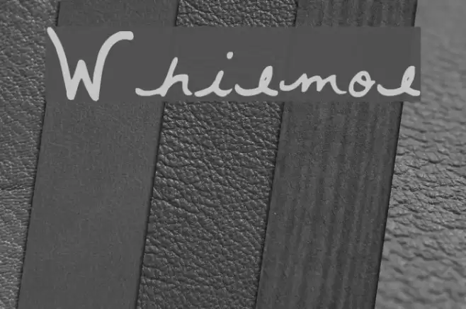 Whitemouse Font examples