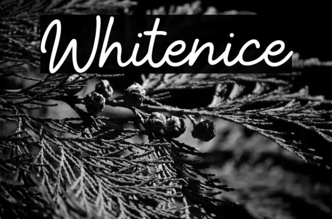 Whitenice Schriftart examples