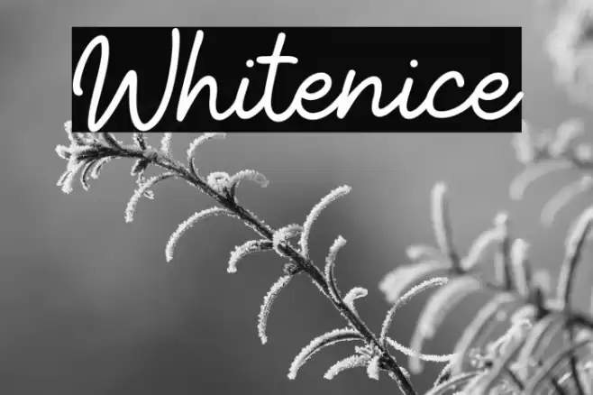 Whitenice Schriftart examples