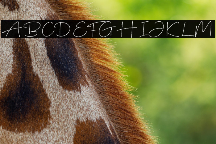 Whiteside DEMO Example 2