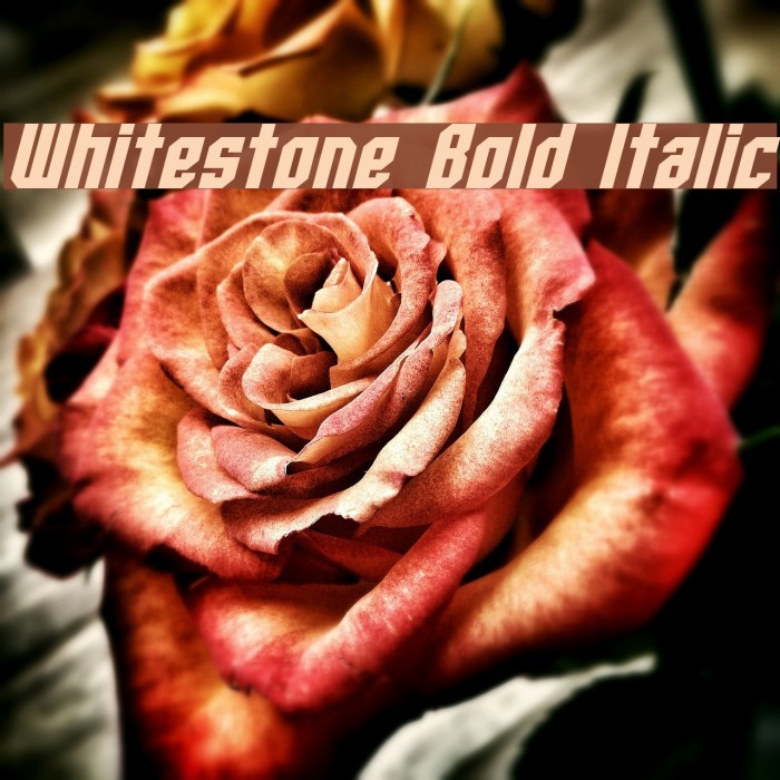 Whitestone Bold Italic Font examples