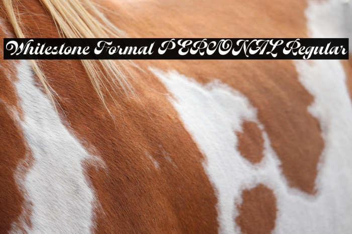 Whitestone Formal PERSONAL Regular Example 1