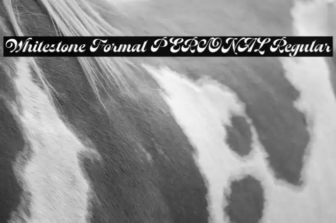 Whitestone Formal PERSONAL Regular Font examples