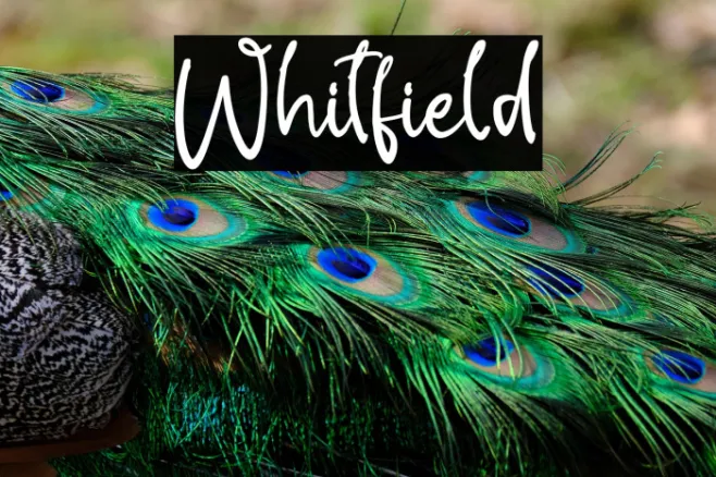 Whitfield Example 2