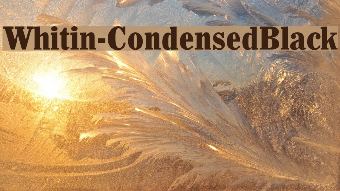 Whitin-CondensedBlack Font examples