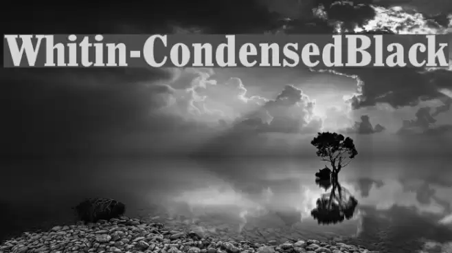 Whitin-CondensedBlack Font examples