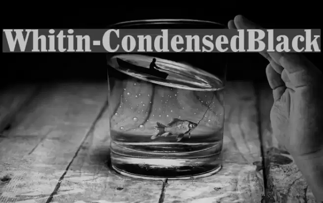 Whitin-CondensedBlack Font examples