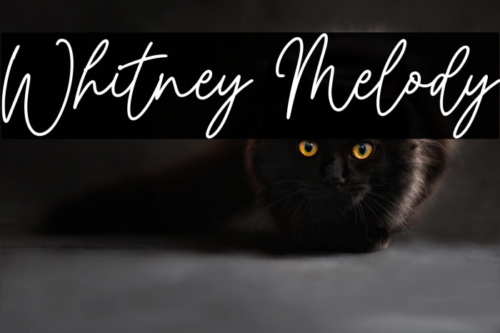 Whitney Melody Example 1