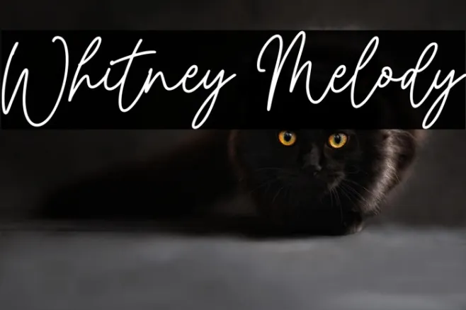 Whitney Melody Example 1