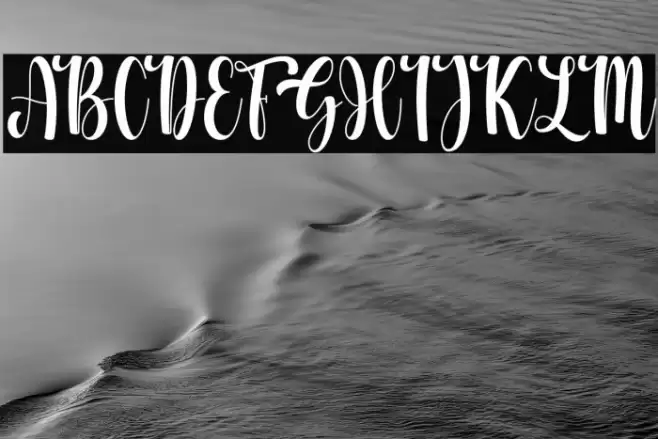 Whitney Font examples