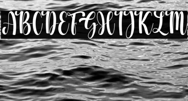 Whitney Font examples