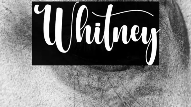 Whitney Font examples