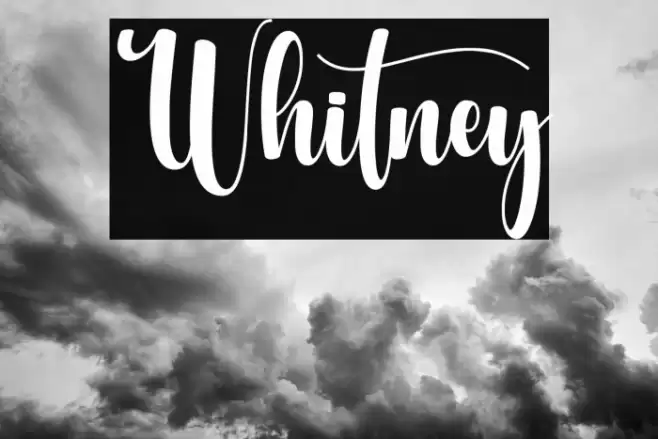 Whitney Font examples
