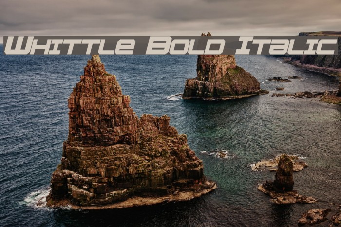 Whittle Bold Italic Font examples