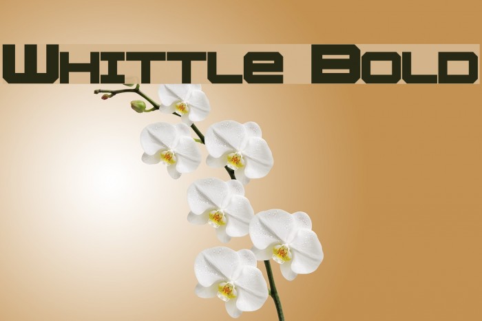 Whittle Bold Example 1