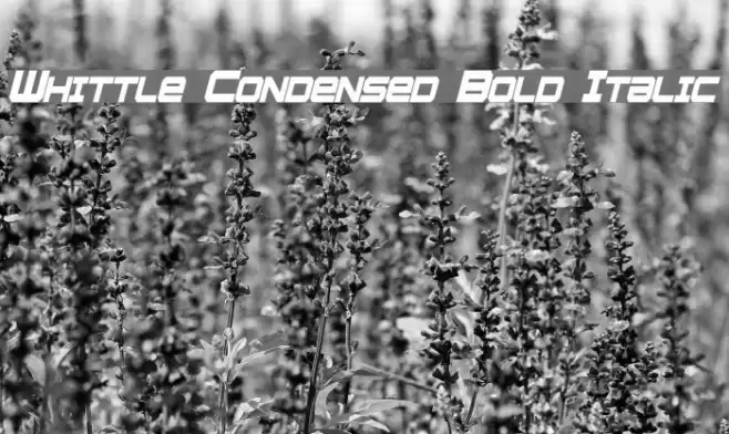 Whittle Condensed Bold Italic Font examples