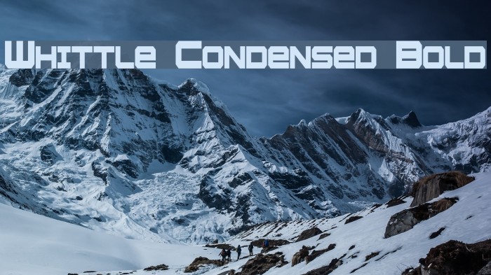 Whittle Condensed Bold Example 2