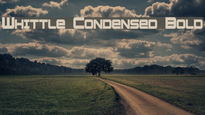 Whittle Condensed Bold Example 3