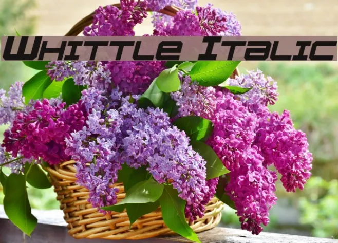 Whittle Italic Example 2