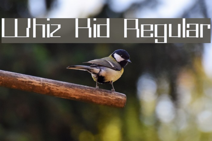Whiz Kid Regular Font examples