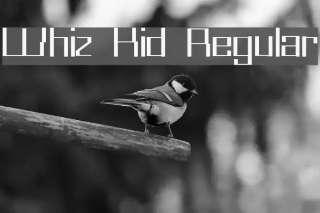 Whiz Kid Regular Font examples
