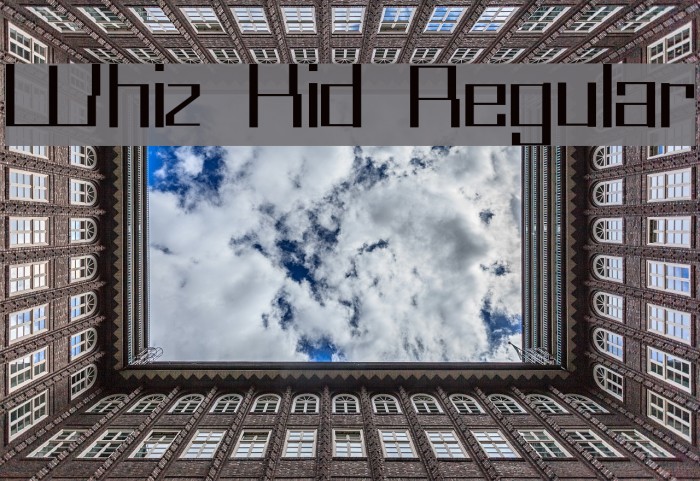 Whiz Kid Regular Font examples