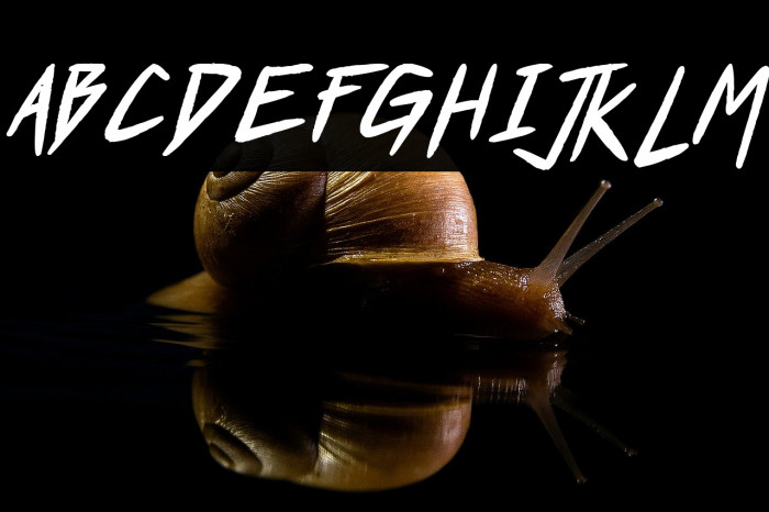 Who Dares?! Bold Italic Example 2