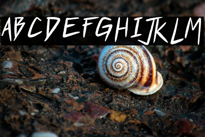 Who Dares?! Example 1