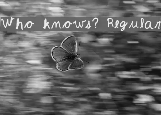 Who knows? Regular Font examples