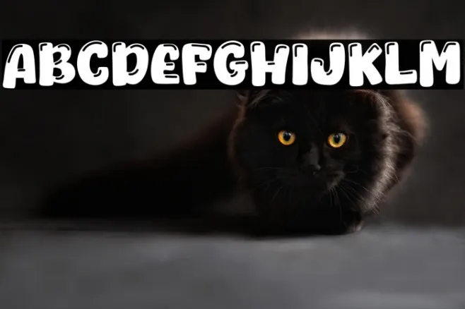Whocats Example 3
