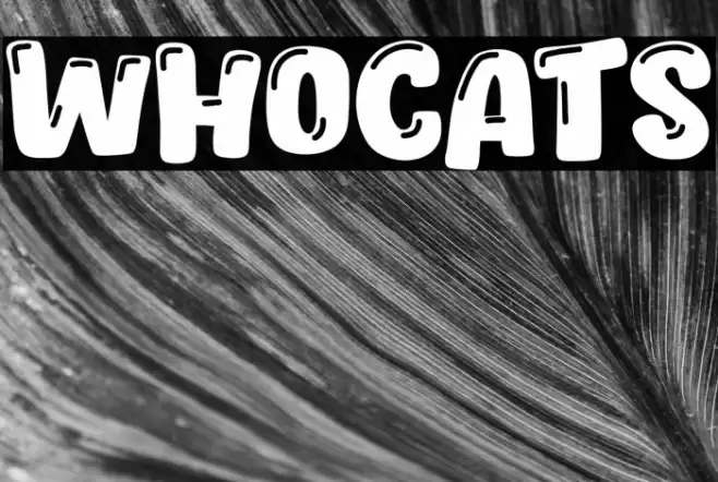 Whocats Font examples