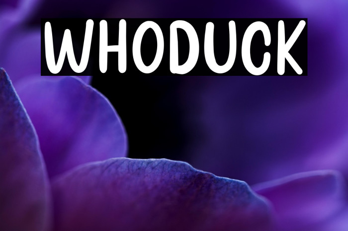 Whoduck Example 3