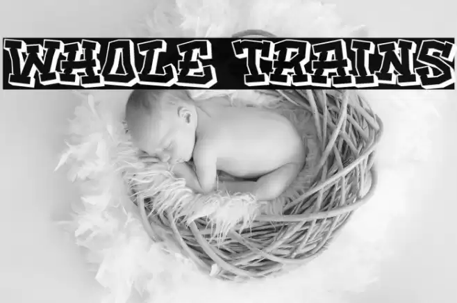 Whole trains Font examples