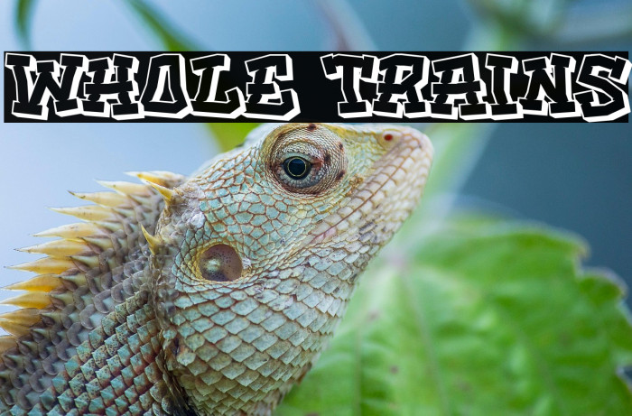 Whole trains Example 3