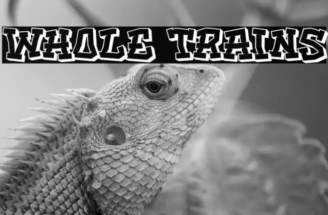 Whole trains Font examples