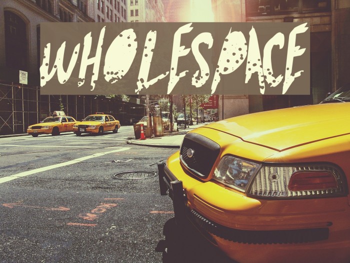 WholeSpace Font examples