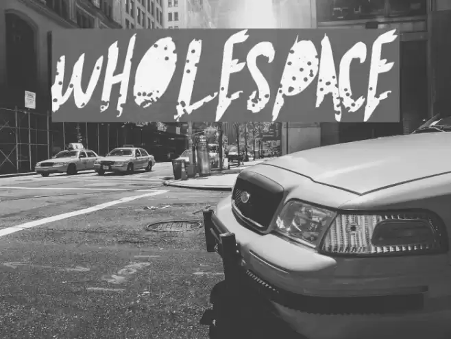 WholeSpace Fonte examples