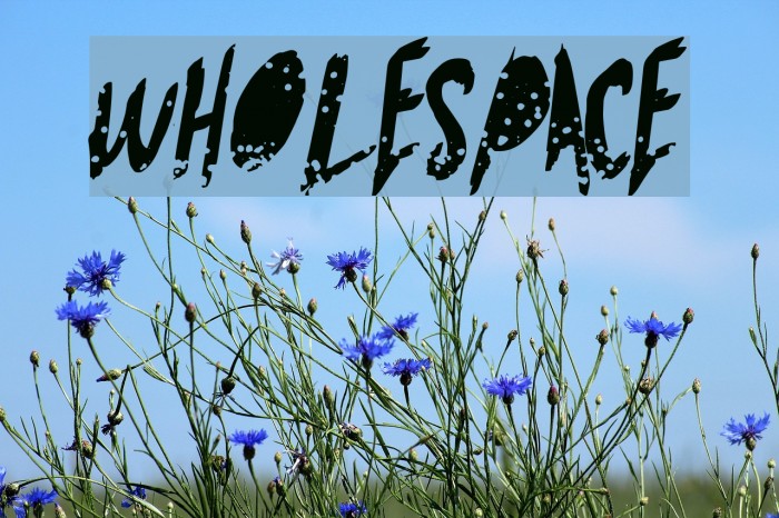 WholeSpace Font examples