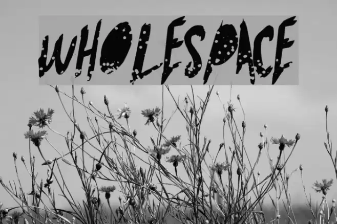 WholeSpace Fonte examples
