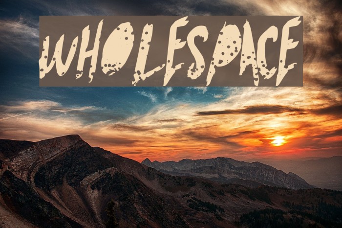 WholeSpace Font examples