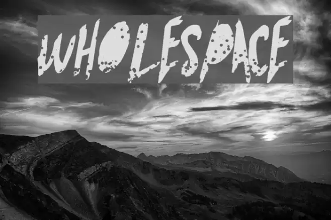 WholeSpace Fonte examples