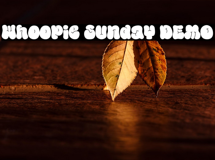 Whoopie Sunday DEMO Example 1