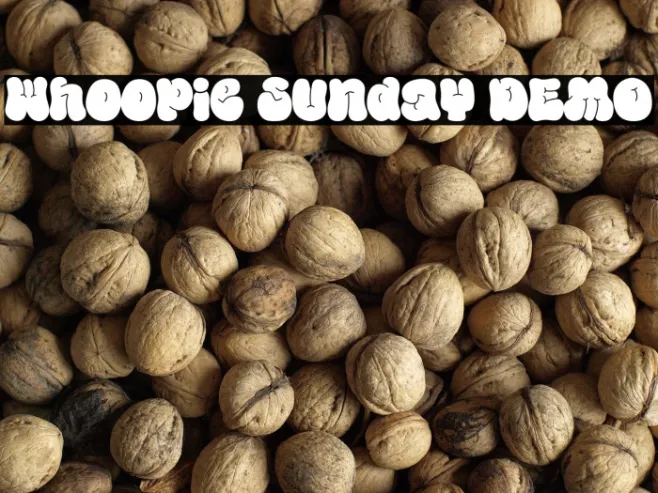 Whoopie Sunday DEMO Example 2