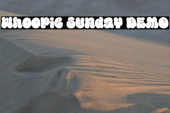 Whoopie Sunday DEMO Example 3