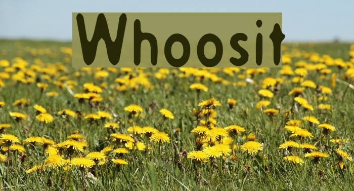 Whoosit Font examples