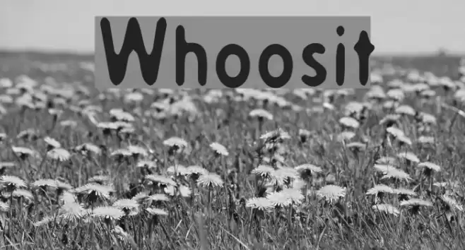 Whoosit Font examples