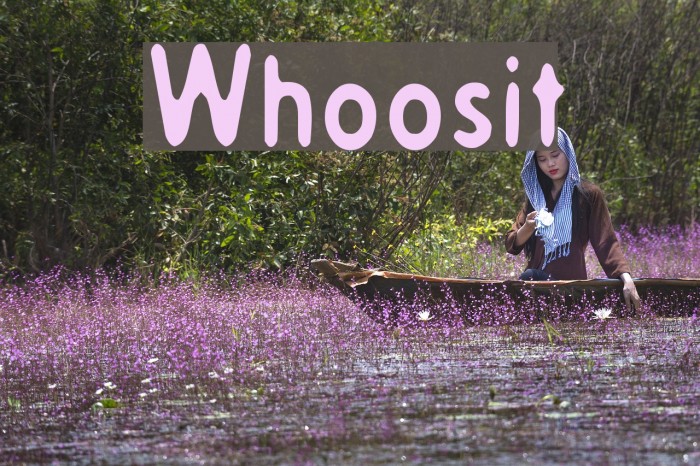Whoosit Font examples