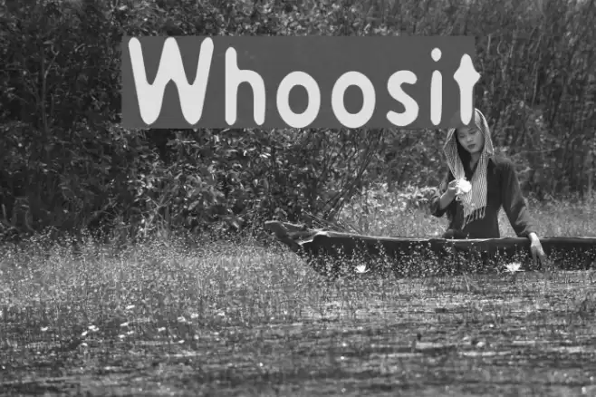 Whoosit Font examples
